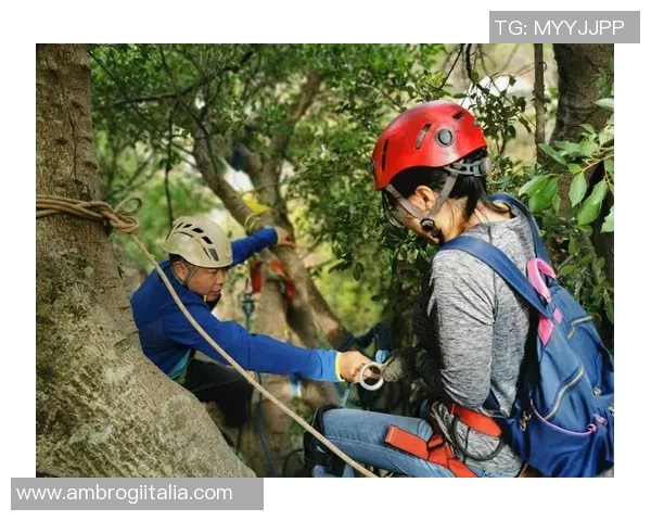 攀岩精神的传承与创新成都攀岩队的成长之路与探索心得