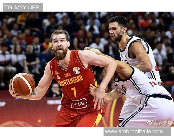 博格丹博格达诺维奇的篮球之路与职业生涯精彩瞬间回顾